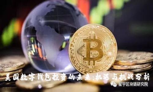 美国数字钱包投资的未来：机遇与挑战分析