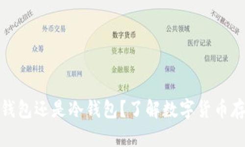 Plus钱包是热钱包还是冷钱包？了解数字货币存储方式的关键