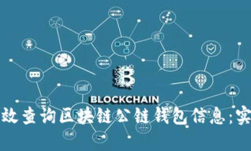 如何高效查询区块链公链钱包信息：实用指南