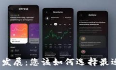   数字钱包的应用与发展：您该如何选择最适合您